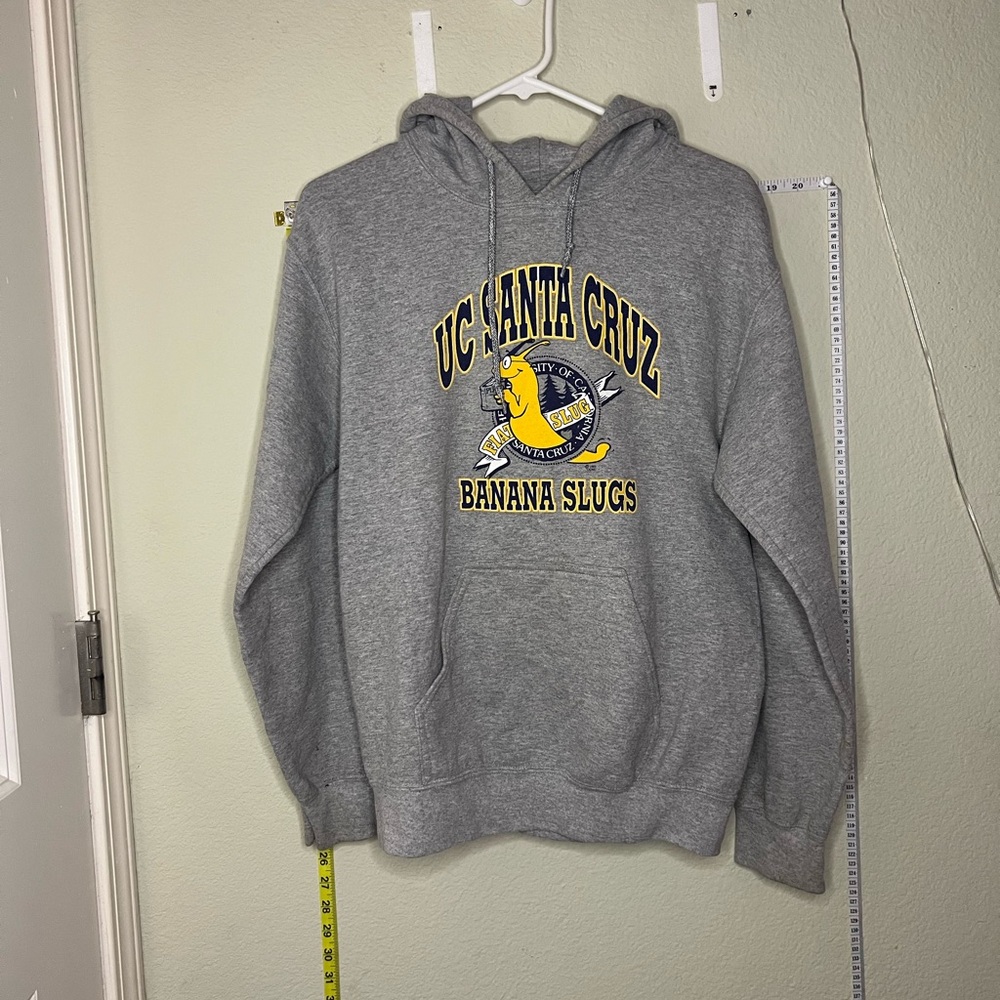 Gildan Gray UC Santa Cruz Hoodie